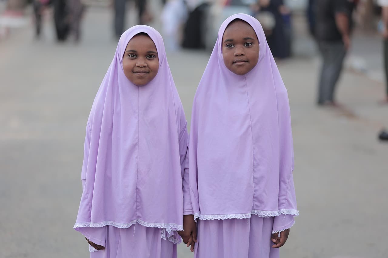 Paysage de Palestine