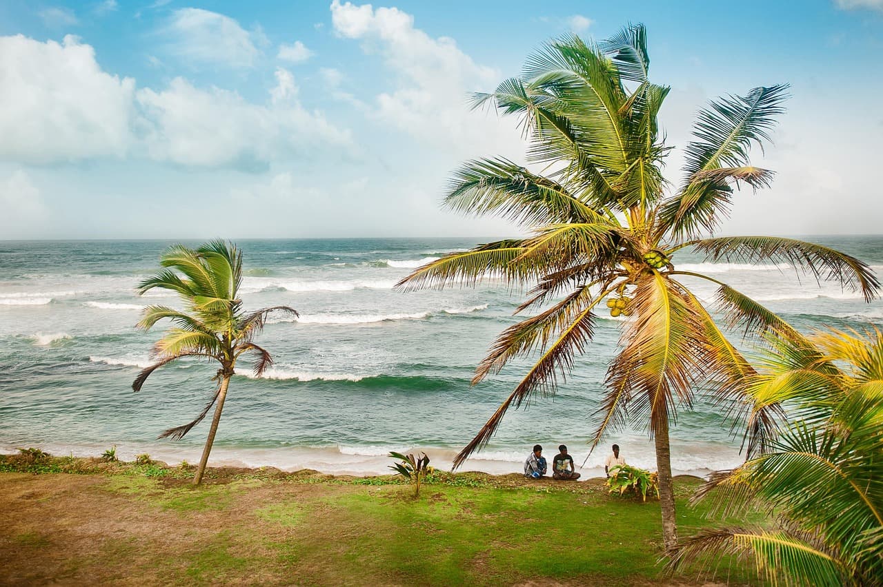 Paysage de Sri Lanka