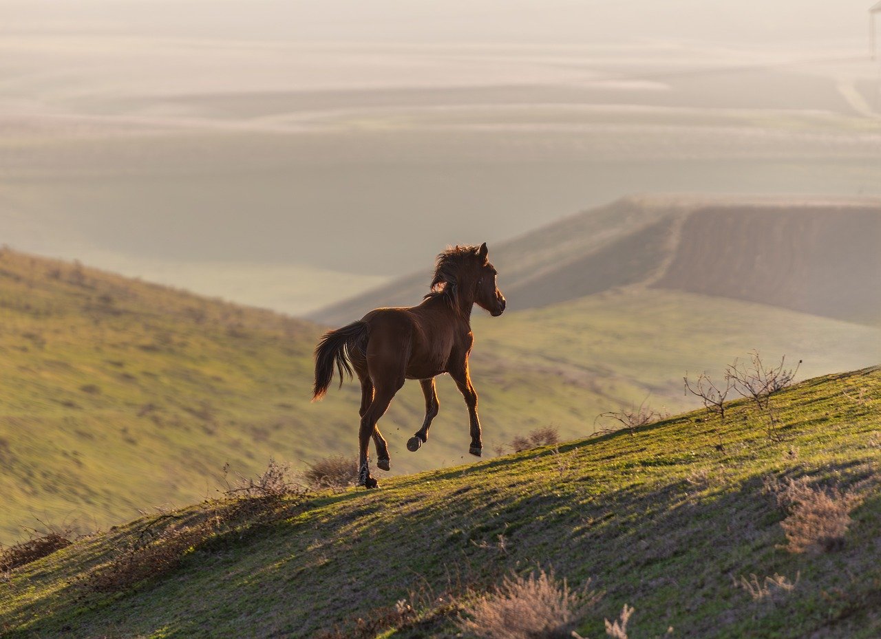 Paysage de Azerbaidjan