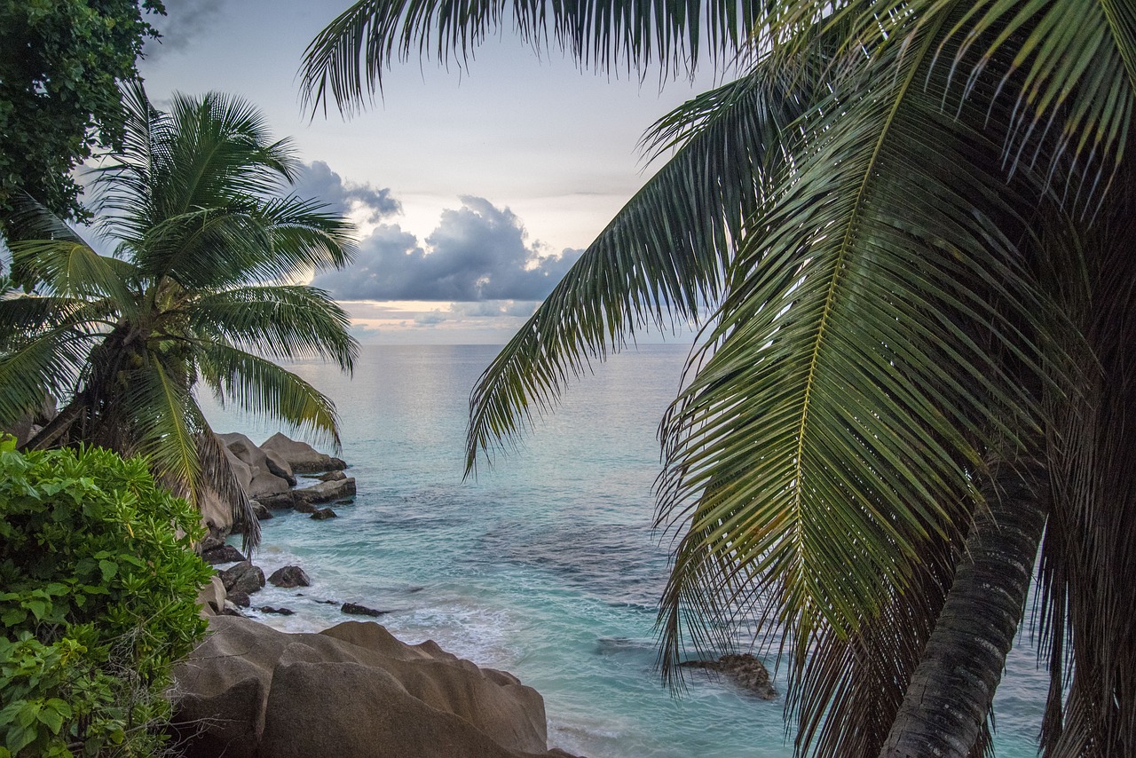 Paysage de Seychelles